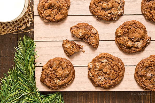 Soft and chewy Chocolate Gingersnap Cookies with chocolate chips and spices taste like Christmas wrapped up inside a cookie (and won't break your teeth).