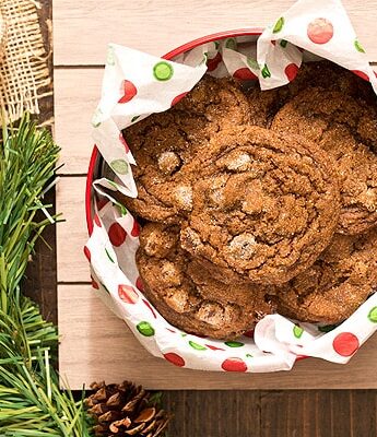 Soft and chewy Chocolate Gingersnap Cookies with chocolate chips and spices taste like Christmas wrapped up inside a cookie (and won't break your teeth).