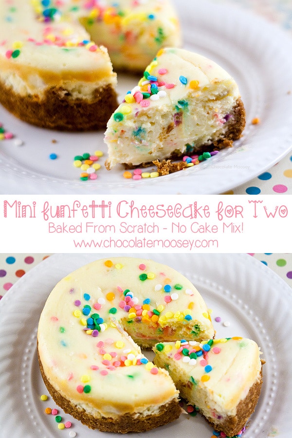 Mini Funfetti Cheesecake Recipe