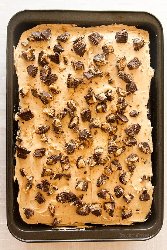 Chocolate Peanut Butter Cake with peanut butter frosting