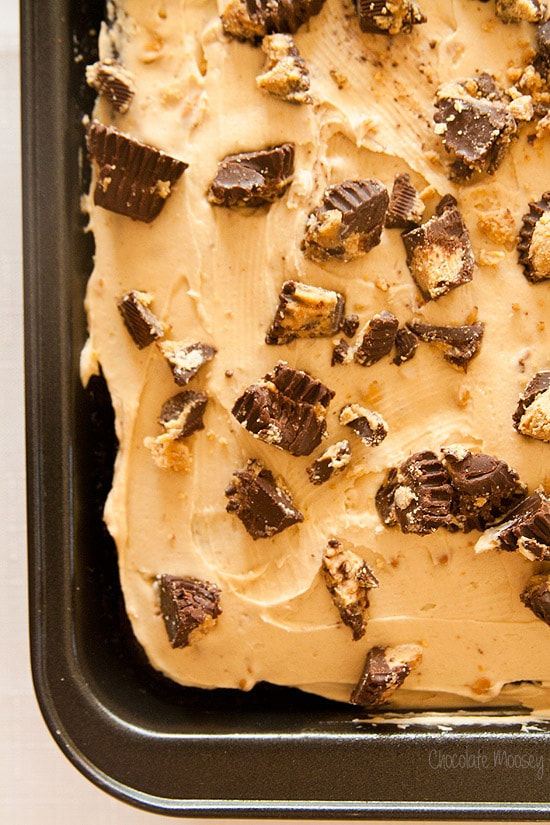 Chocolate Peanut Butter Cake with peanut butter frosting