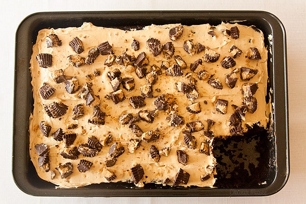 Chocolate Peanut Butter Cake with peanut butter frosting