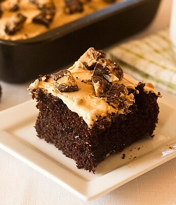 Chocolate Peanut Butter Cake with peanut butter frosting