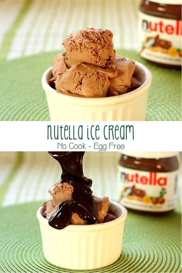 Nutella Ice Cream (No Cook, Eggless, Small Batch)