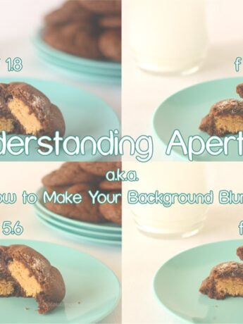 Understanding Aperture (a.k.a How To Make Your Background Blurry)