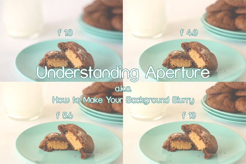 Understanding Aperture (a.k.a How To Make Your Background Blurry)