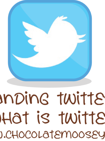 Understanding Twitter Part 1: What is Twitter?