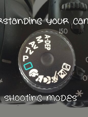 Understanding Your Camera - Shooting Modes