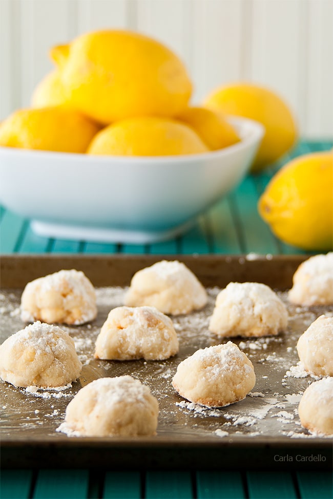 Easy melt-in-your-mouth small batch lemon snowball cookies tossed in powdered sugar are a burst of lemon flavor with a bit of crunch from lemon chocolate chips.