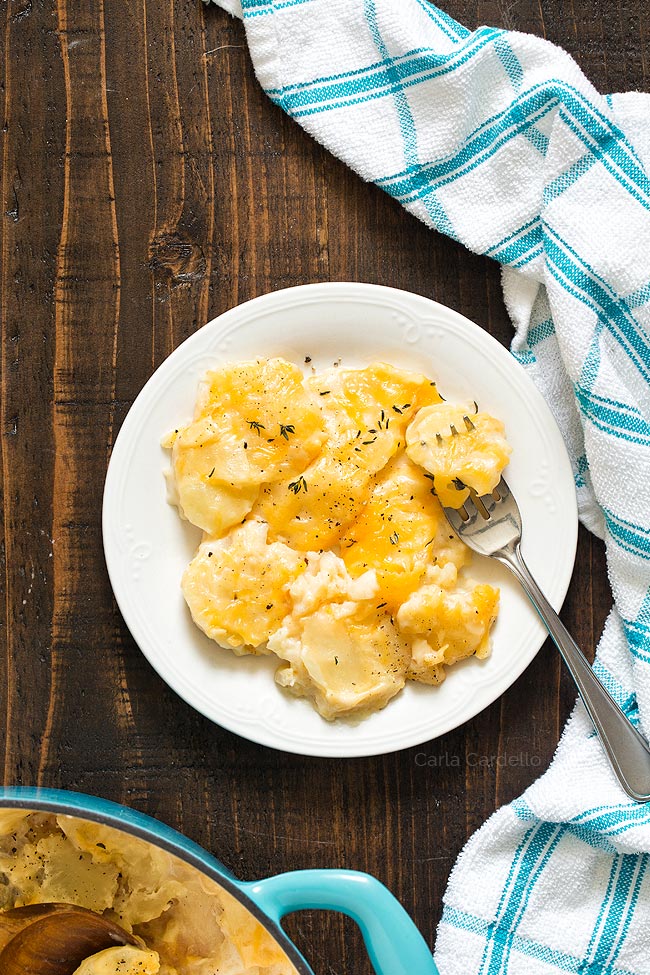 scalloped potatoes on white plate