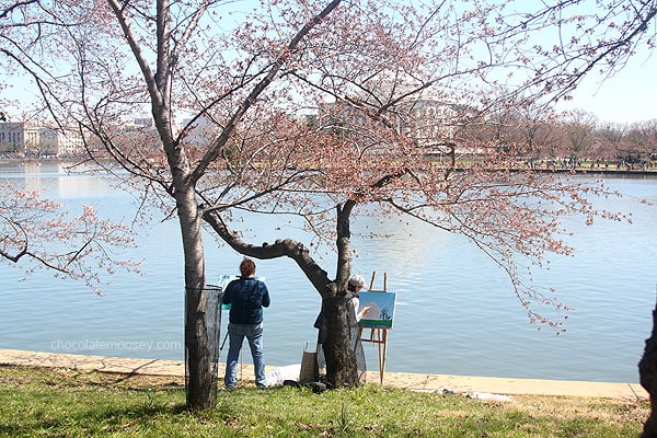 Washington DC Cherry Blossom Festival | www.chocolatemoosey.com