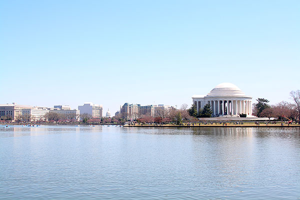 Washington DC Cherry Blossom Festival | www.chocolatemoosey.com