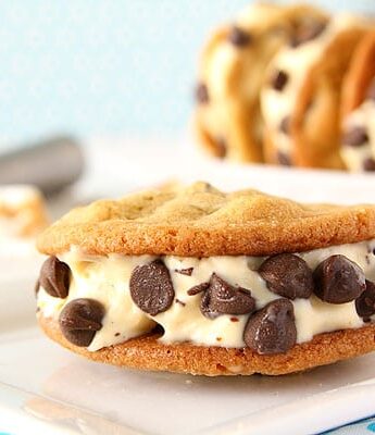 Toasted Marshmallow Ice Cream Cookie Sandwiches | www.chocolatemoosey.com