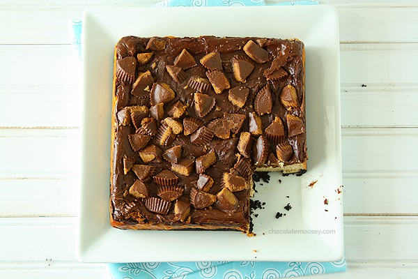 Chocolate Peanut Butter Cup Cheesecake Squares | www.chocolatemoosey.com