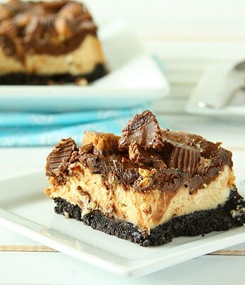 Chocolate Peanut Butter Cup Cheesecake Squares | www.chocolatemoosey.com