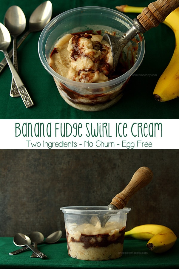 Banana Fudge Swirl Ice Cream with only two ingredients. Egg free