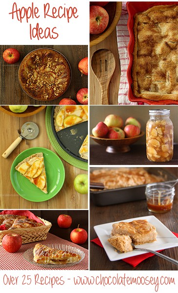 Apple Recipe Ideas from www.chocolatemoosey.com