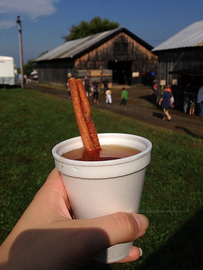 Delmont Apple Festival 