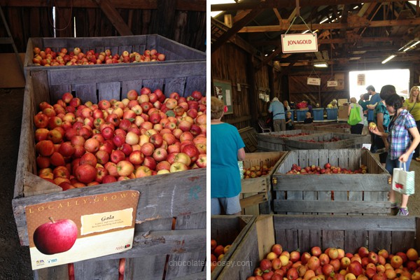 Delmont Apple Festival