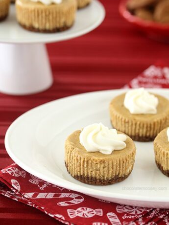 Mini Gingerbread Cheesecake Recipe
