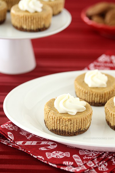 Mini Gingerbread Cheesecake Recipe