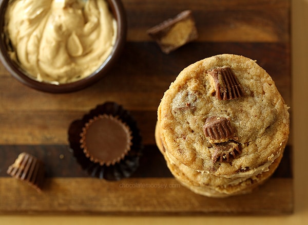 Peanut Butter Cup Sandwich Cookies | www.chocolatemoosey.com