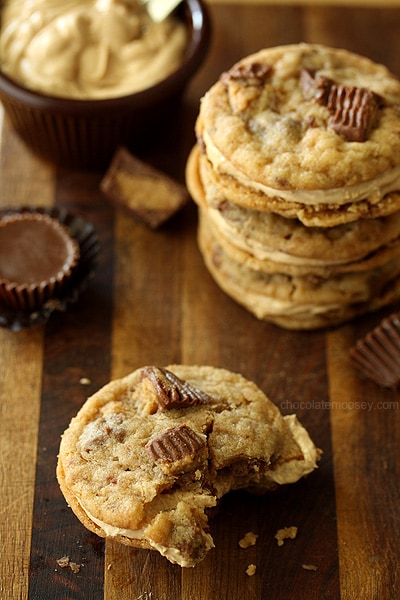 Peanut Butter Cup Sandwich Cookies | www.chocolatemoosey.com