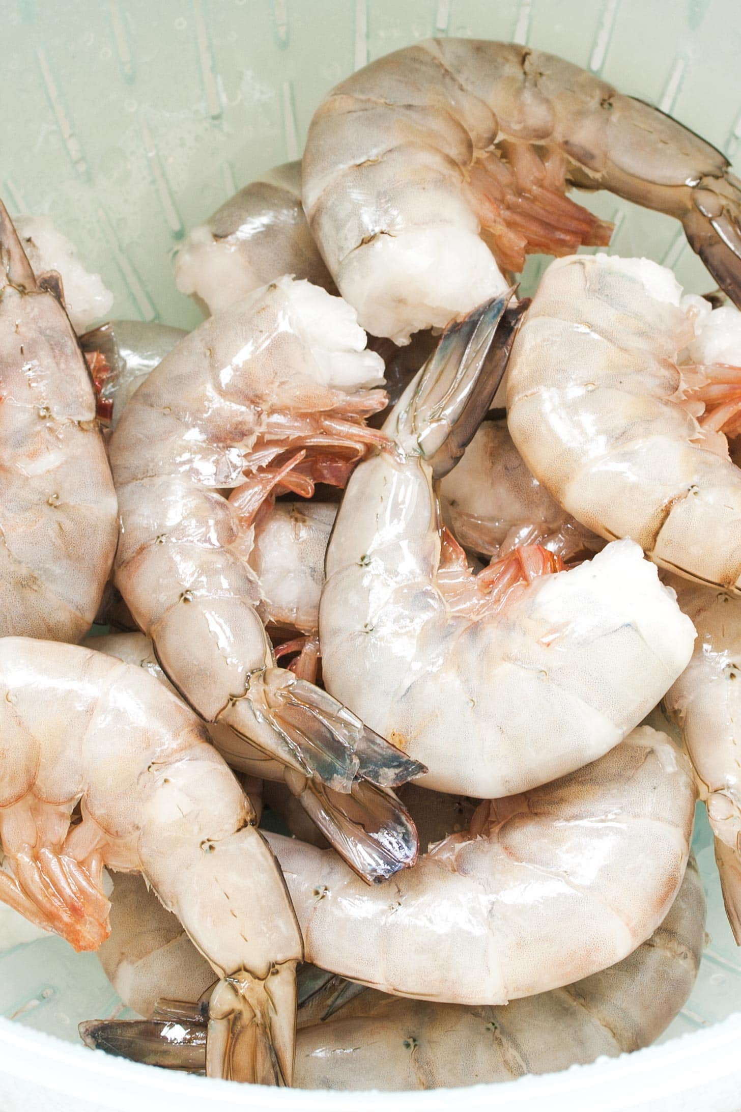 Raw shrimp in colander