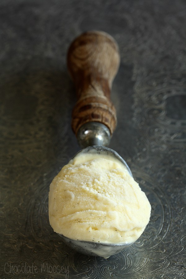 Ice cream scoop holding vanilla bean ice cream