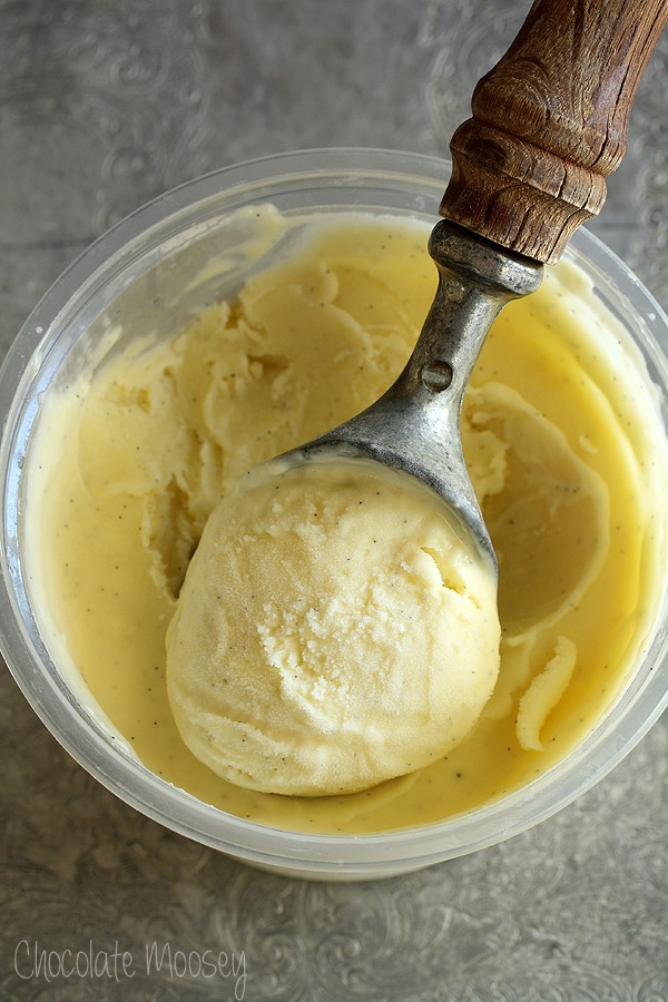 Vanilla Bean Ice Cream in pint container with ice cream scoop