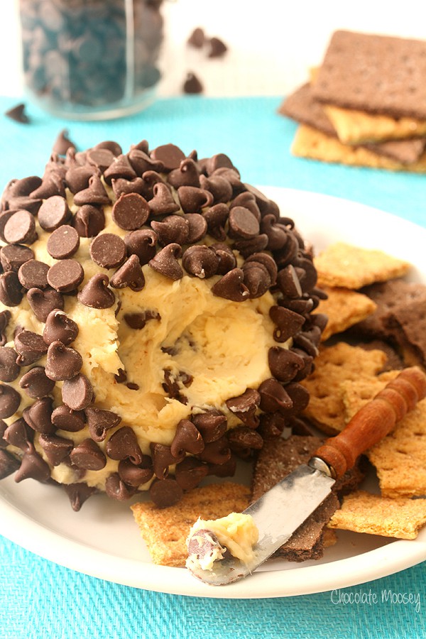 Close up of Chocolate Chip Cheese Ball
