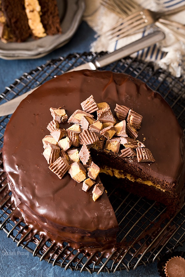 Buckeye Layer Cake (Chocolate Peanut Butter Fudge Cake)