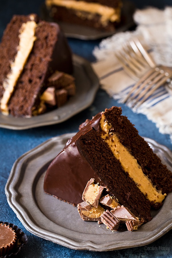 Buckeye Layer Cake (Chocolate Peanut Butter Fudge Cake)