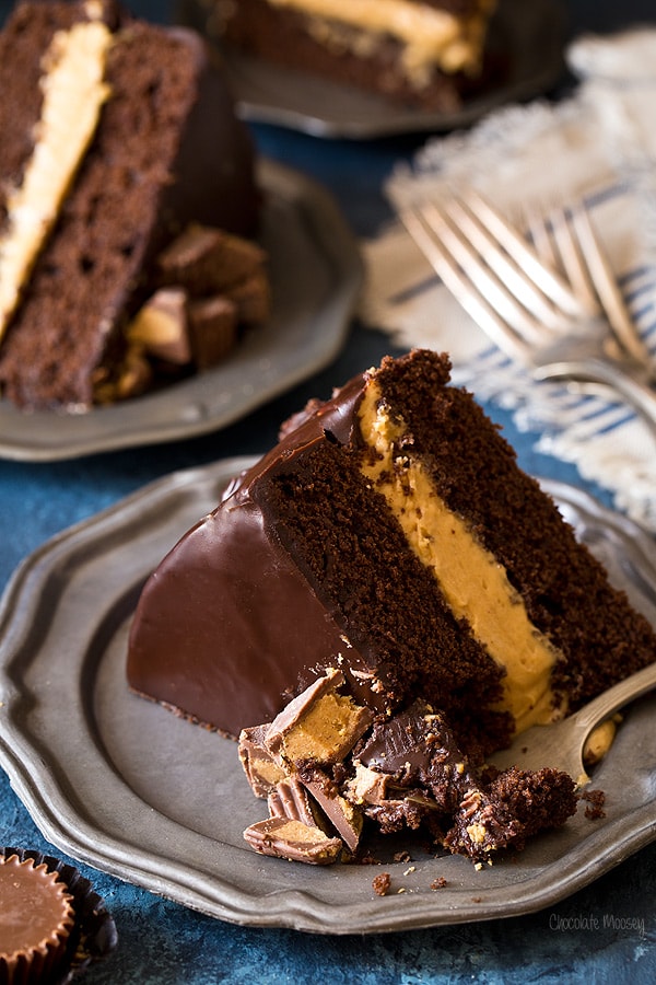 Buckeye Layer Cake (Chocolate Peanut Butter Fudge Cake)