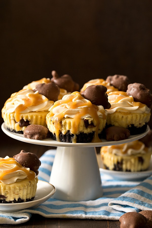 You don't need a reason (other than you're hungry) to enjoy these Mini Caramel Cheesecakes with a chocolate cookie crust, caramel cheesecake filling, caramel whipped cream, and caramel nut clusters.