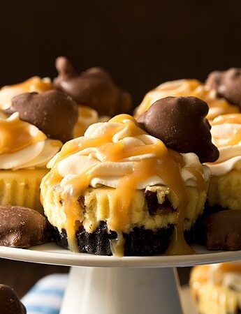You don't need a reason (other than you're hungry) to enjoy these Mini Caramel Cheesecakes with a chocolate cookie crust, caramel cheesecake filling, caramel whipped cream, and caramel nut clusters.
