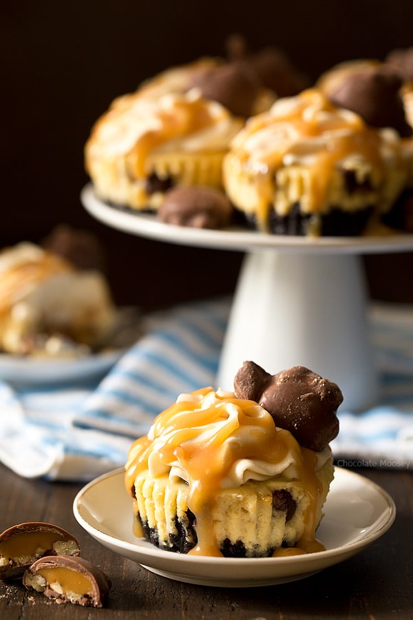 You don't need a reason (other than you're hungry) to enjoy these Mini Caramel Cheesecakes with a chocolate cookie crust, caramel cheesecake filling, caramel whipped cream, and caramel nut clusters.
