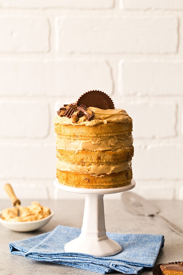 If you love peanut butter, this is the birthday cake for you! Mini Peanut Butter Layer Cake is a 3 layer peanut butter cake with homemade peanut butter frosting. 