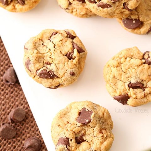 Peanut Butter Chocolate Chip Cookie Bites