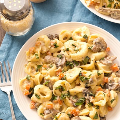 Portobello Mushroom Cheese Tortellini