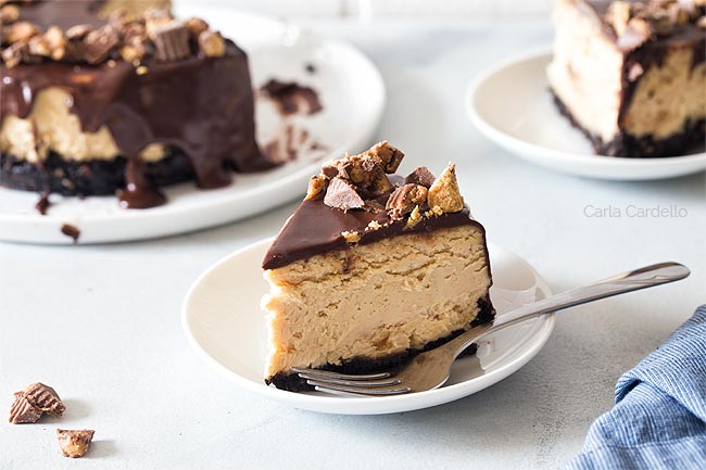 Slice of peanut butter cheesecake on white plate