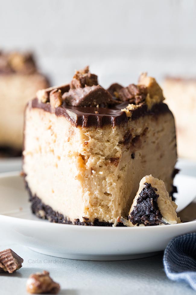 Slice of peanut butter cheesecake with fork