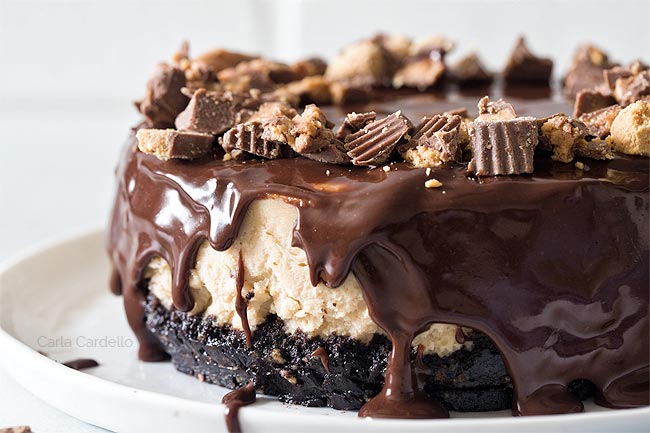 Peanut butter cheesecake covered in chocolate ganache