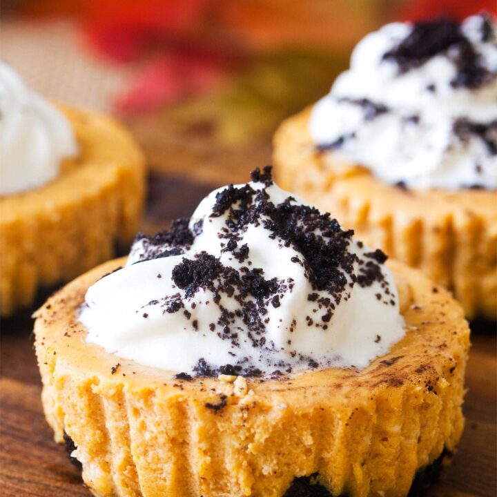 Close up of mini pumpkin cheesecake with whipped cream