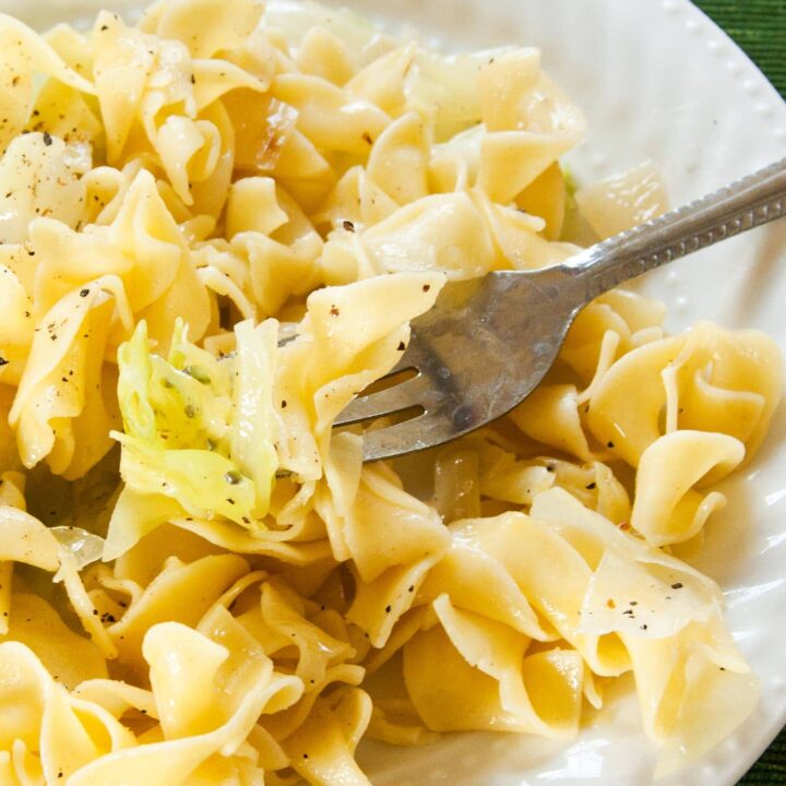 Close up of Haluski (aka cabbage and noodles) with fork