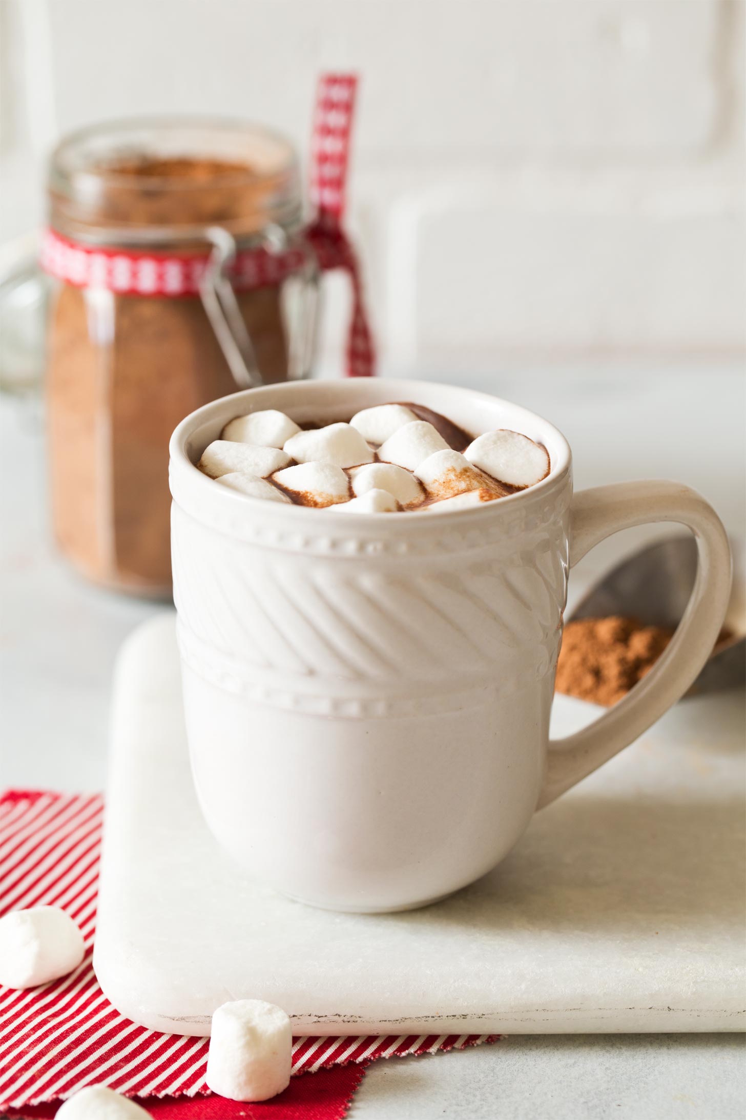 Cup of hot cocoa made from homemade hot chocolate mix