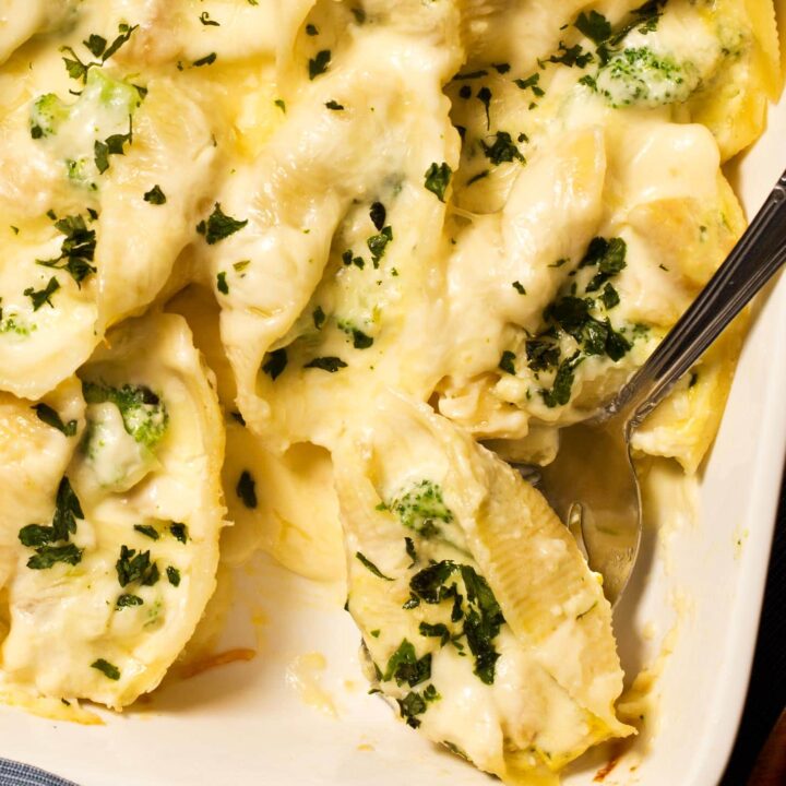Close up of alfredo stuffed shells with chicken and broccoli