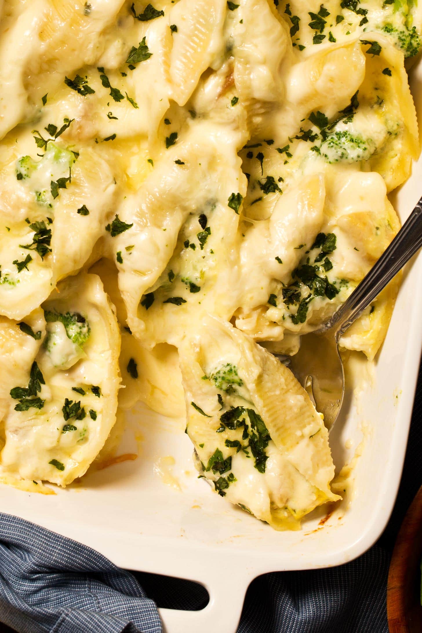 Close up of alfredo stuffed shells with chicken and broccoli